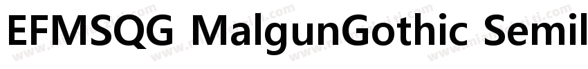 EFMSQG MalgunGothic Semilight 高体字体转换